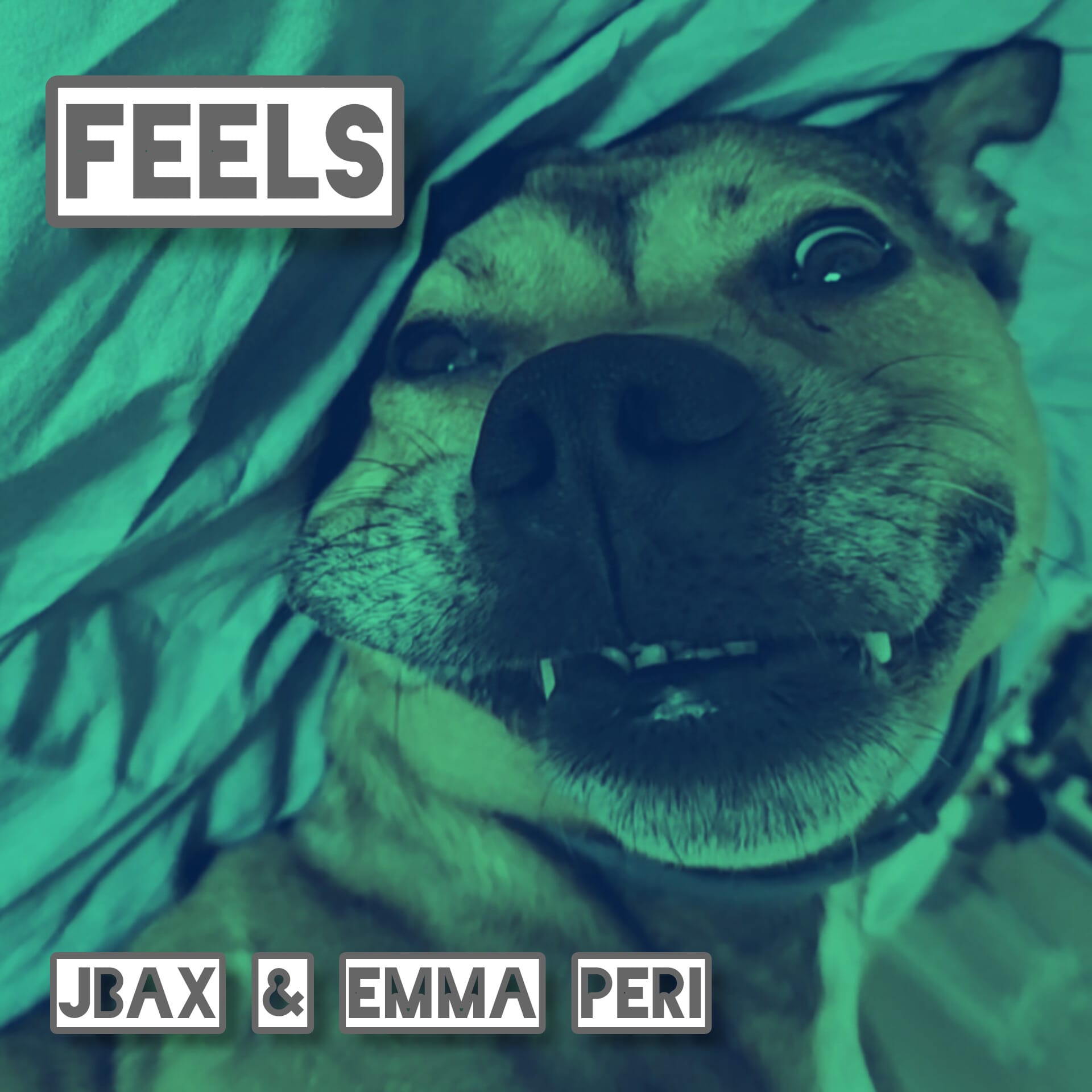 Feels (JBAX & Emma Peri)