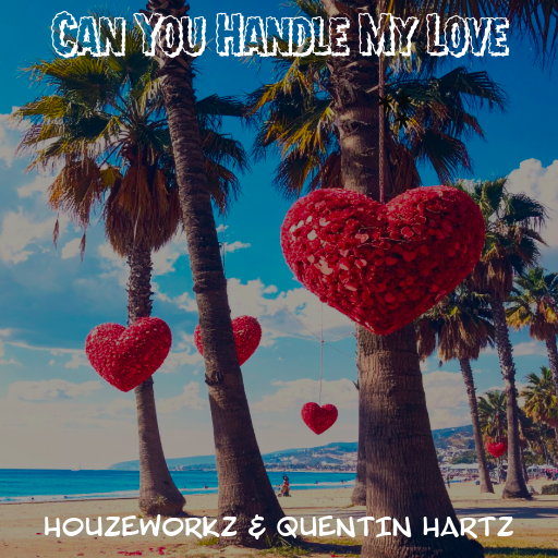 Can You Handle My Love